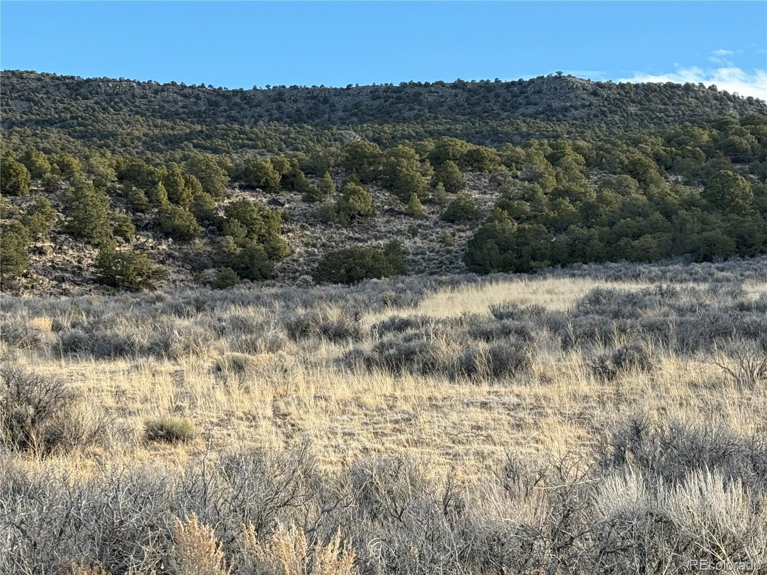 54 Old Stage Coach Road San Luis, CO 81152 - Photo 3 of 20 a view of a bunch of trees in a field