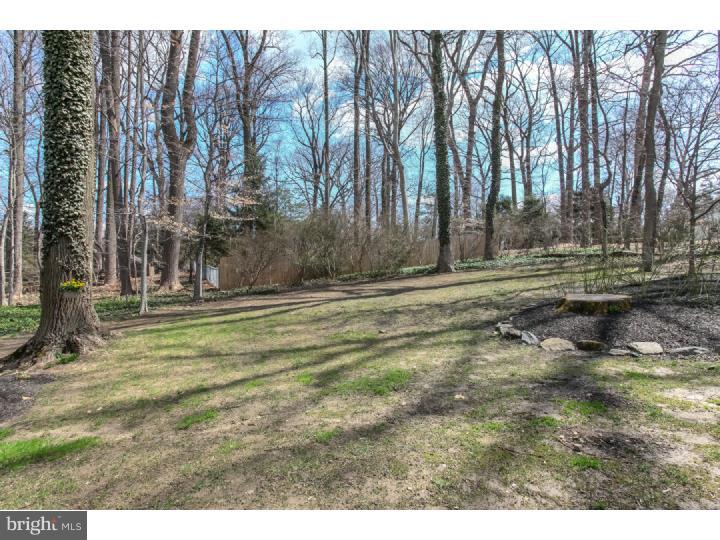 33 Springhouse Lane Media, PA 19063 - Photo 23 of 25 Back Yard