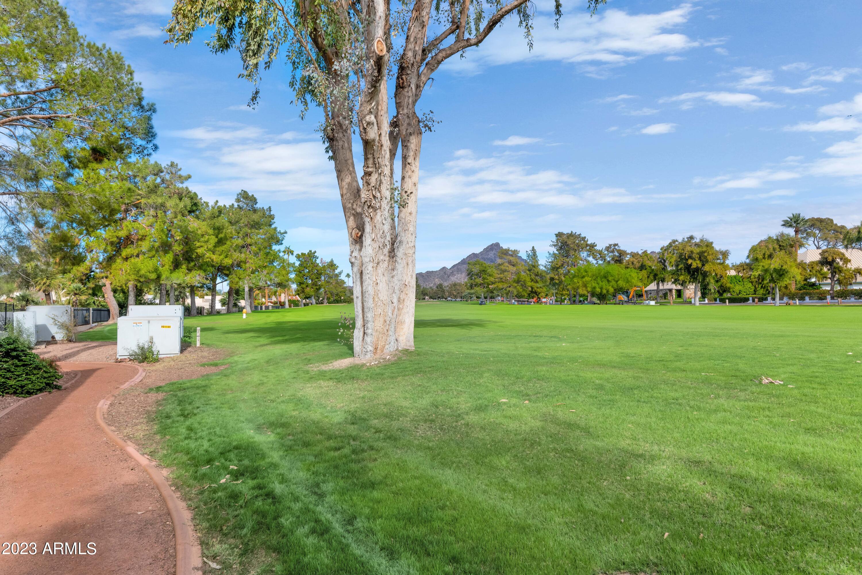 5223 North 24th Street, Unit 105 Phoenix, AZ 85016 - Photo 15 of 22 a view of a garden with a tree