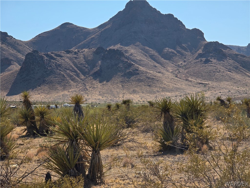 2821 Hopi Road Golden Valley, AZ 86413 - Photo 24 of 30 a view of a tree in a field