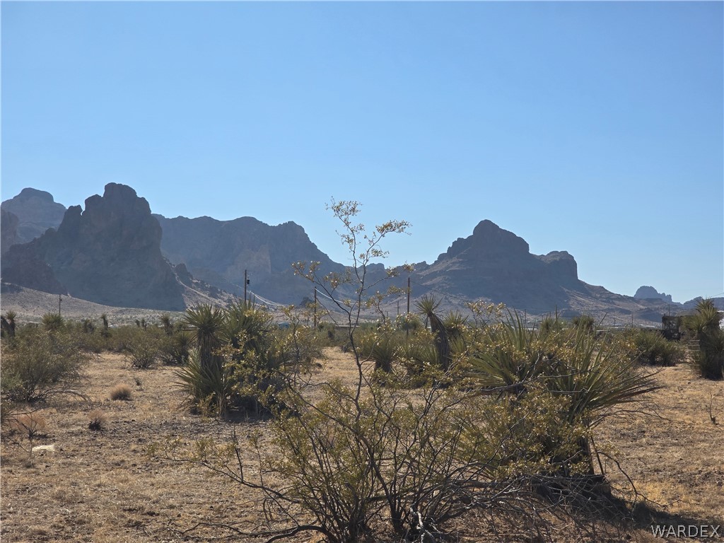 2821 Hopi Road Golden Valley, AZ 86413 - Photo 28 of 30 a view of a house with a mountain and a forest