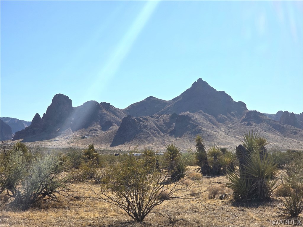 2821 Hopi Road Golden Valley, AZ 86413 - Photo 10 of 30 a view of a dry yard with mountains in the background