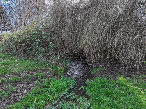 a view of a park with large trees