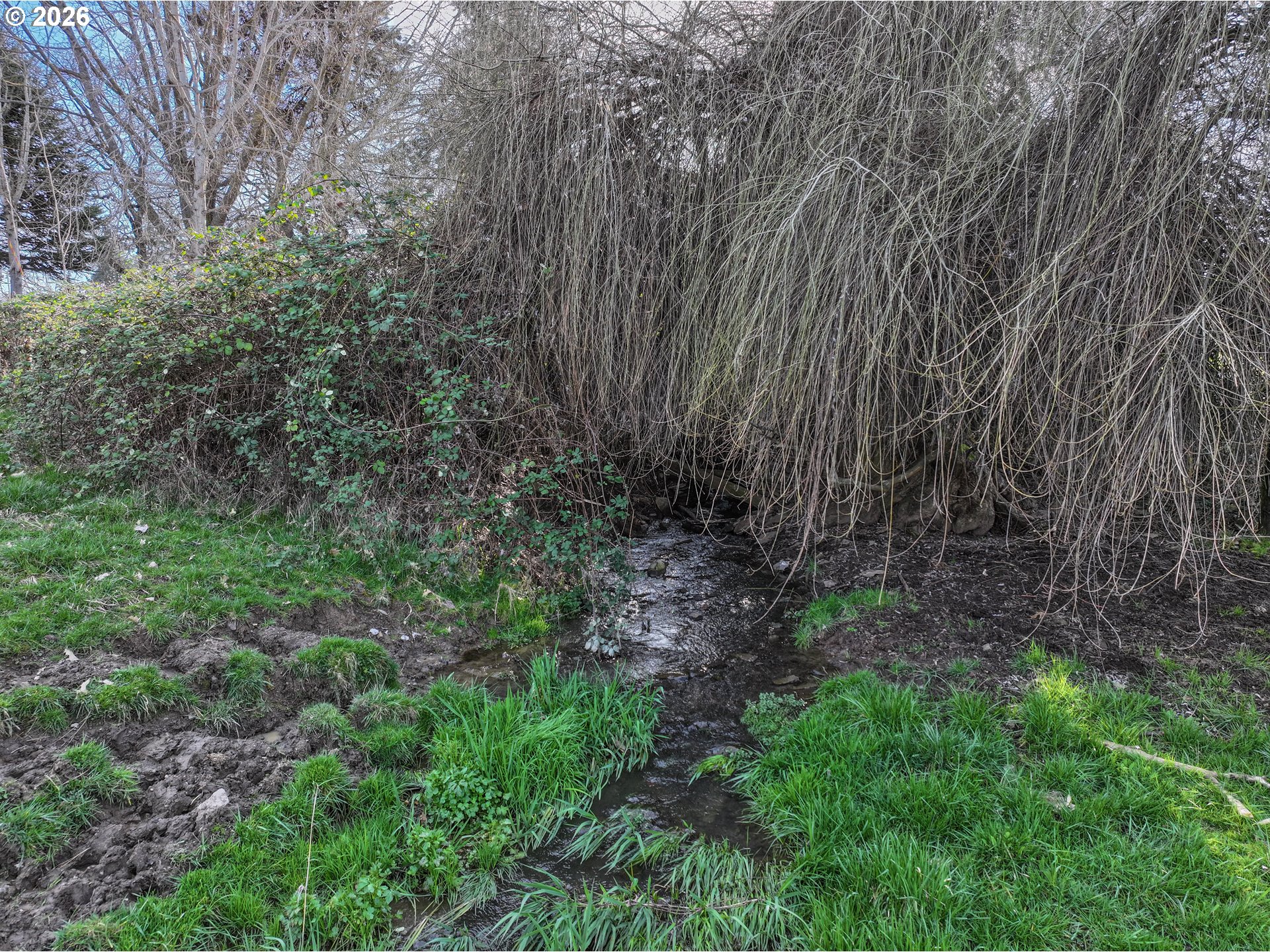 2739 Wyeast Road Hood River, OR 97031 - Photo 24 of 28 a view of a yard