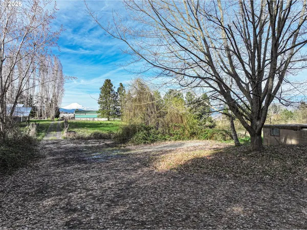 a view of a yard with a tree