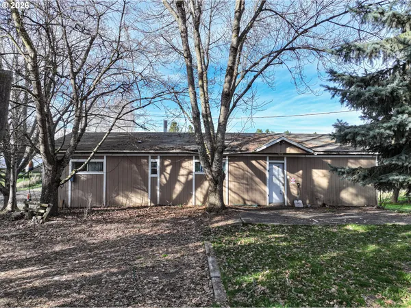 a view of backyard of house