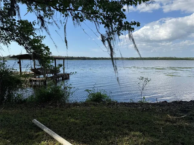 a view of a park with large trees