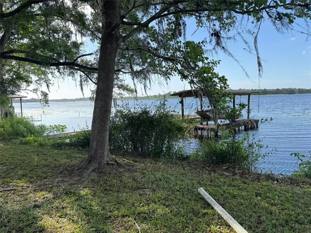 a view of a garden with a tree
