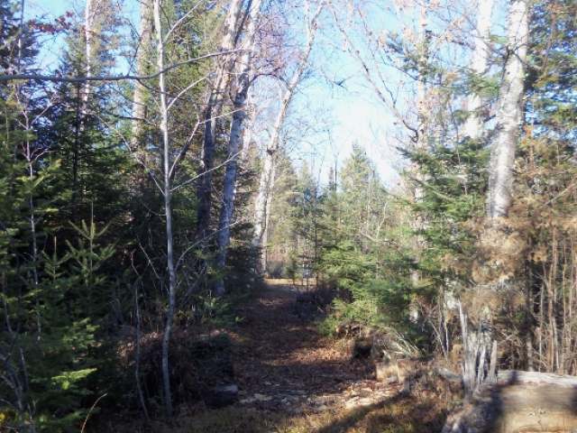 Lot 5 Lake Of The Falls Road Mercer, WI 54547 - Photo 8 of 20 Gallery Image 8