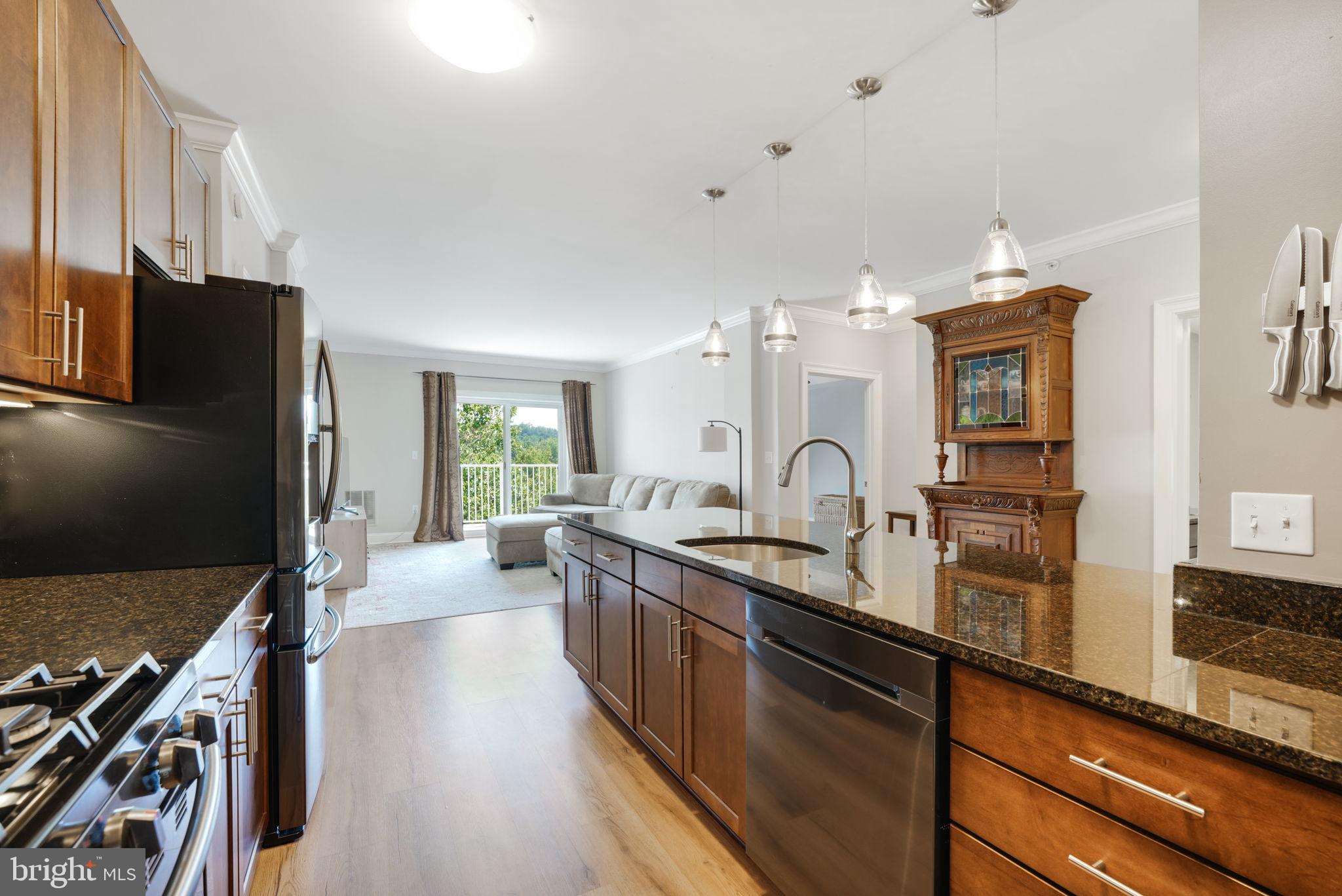 6301 Edsall Road, Unit 421 Alexandria, VA 22312 - Photo 5 of 28 Gallery Image 5