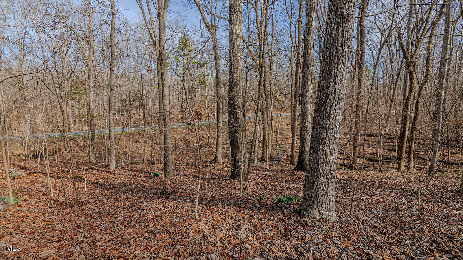 5405 Friendship Patterson Mill Road Burlington, NC 27215 - Photo 67 of 70 _MGP9858