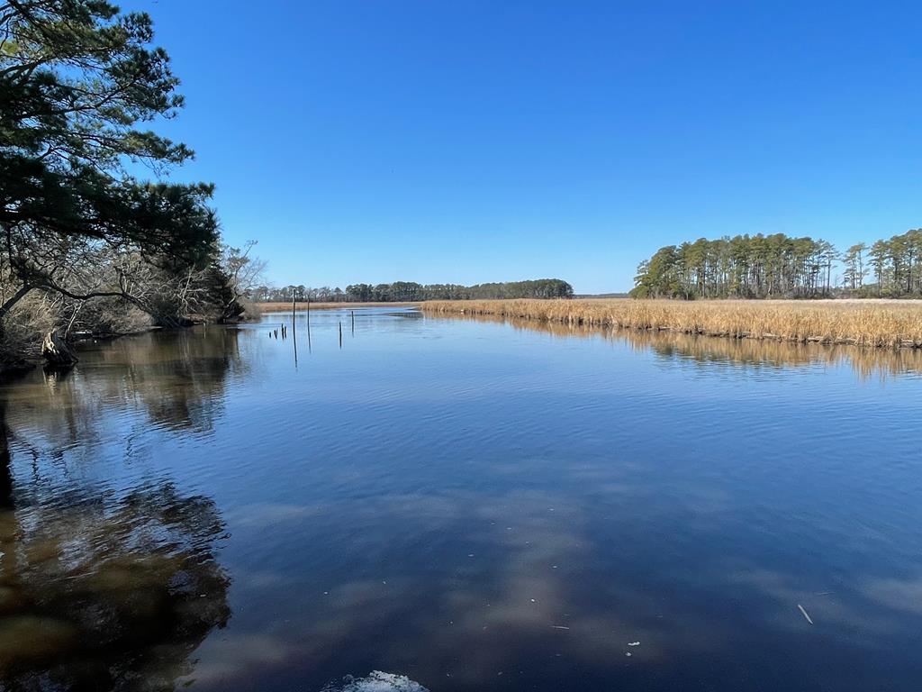 Lot 31 Miles Road, Unit 31 New Church, VA 23415 - Photo 21 of 24