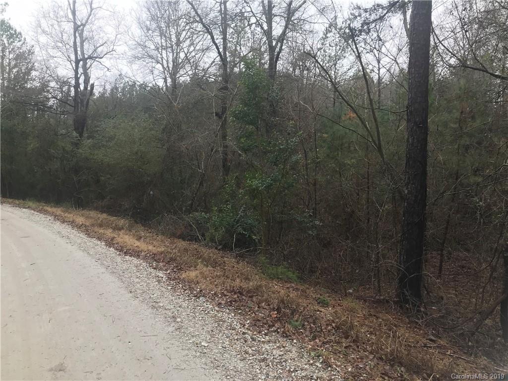 Tract C Currence Road Clover, SC 29710 - Photo 1 of 1