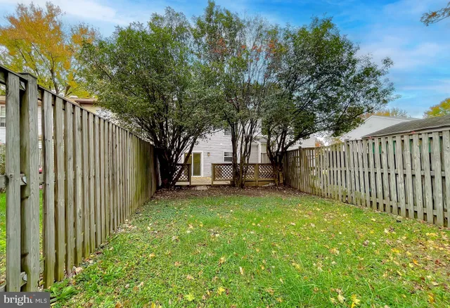 a view of a deck with a trees