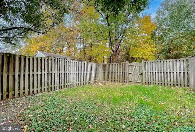 a view of a yard with a trees