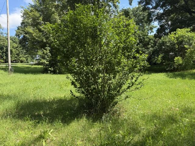 64735 Klinger Lake Road Centreville, MI 49032 - Photo 2 of 5 IMG_5587