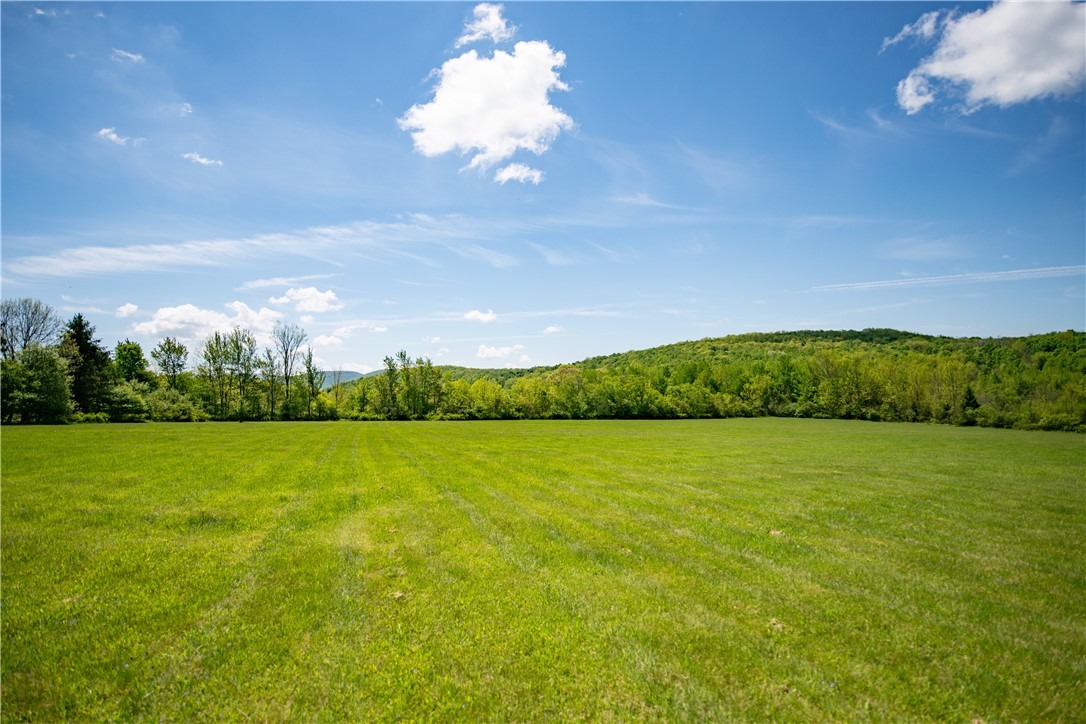 1295 Alimeda Road Kortright, NY 13842 - Photo 33 of 41