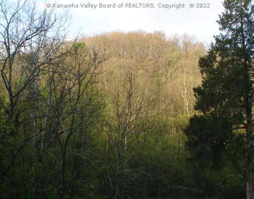 0 County Road Leon, WV 25123 - Photo 5 of 8 Exterior Front. WOODED HILL SIDE