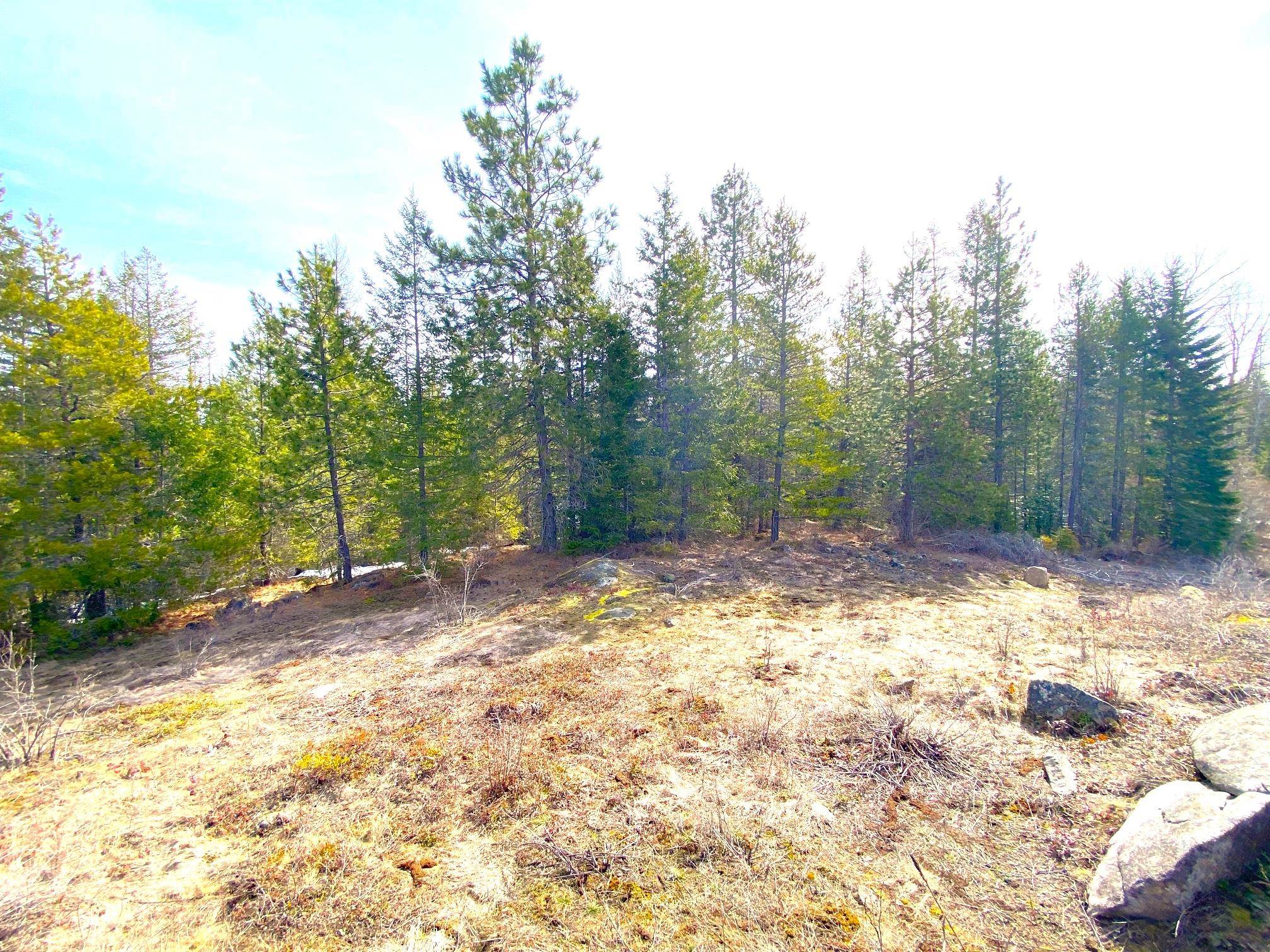 141 Diamond View Road Newport, WA 99156 - Photo 10 of 14 Gallery Image 10
