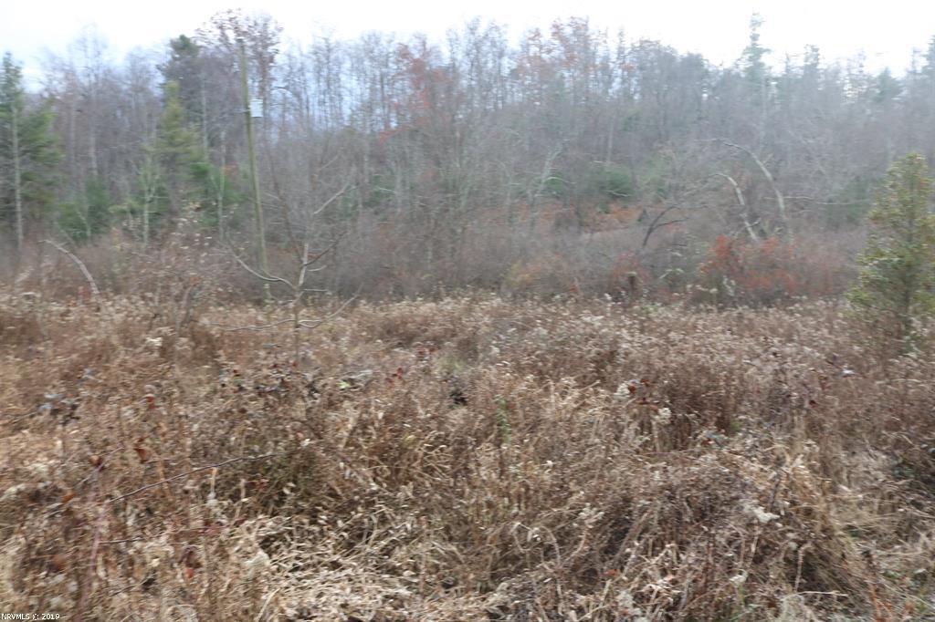 151 Millimeter Road Southwest Floyd, VA 24091 - Photo 10 of 13 a view of a dry yard