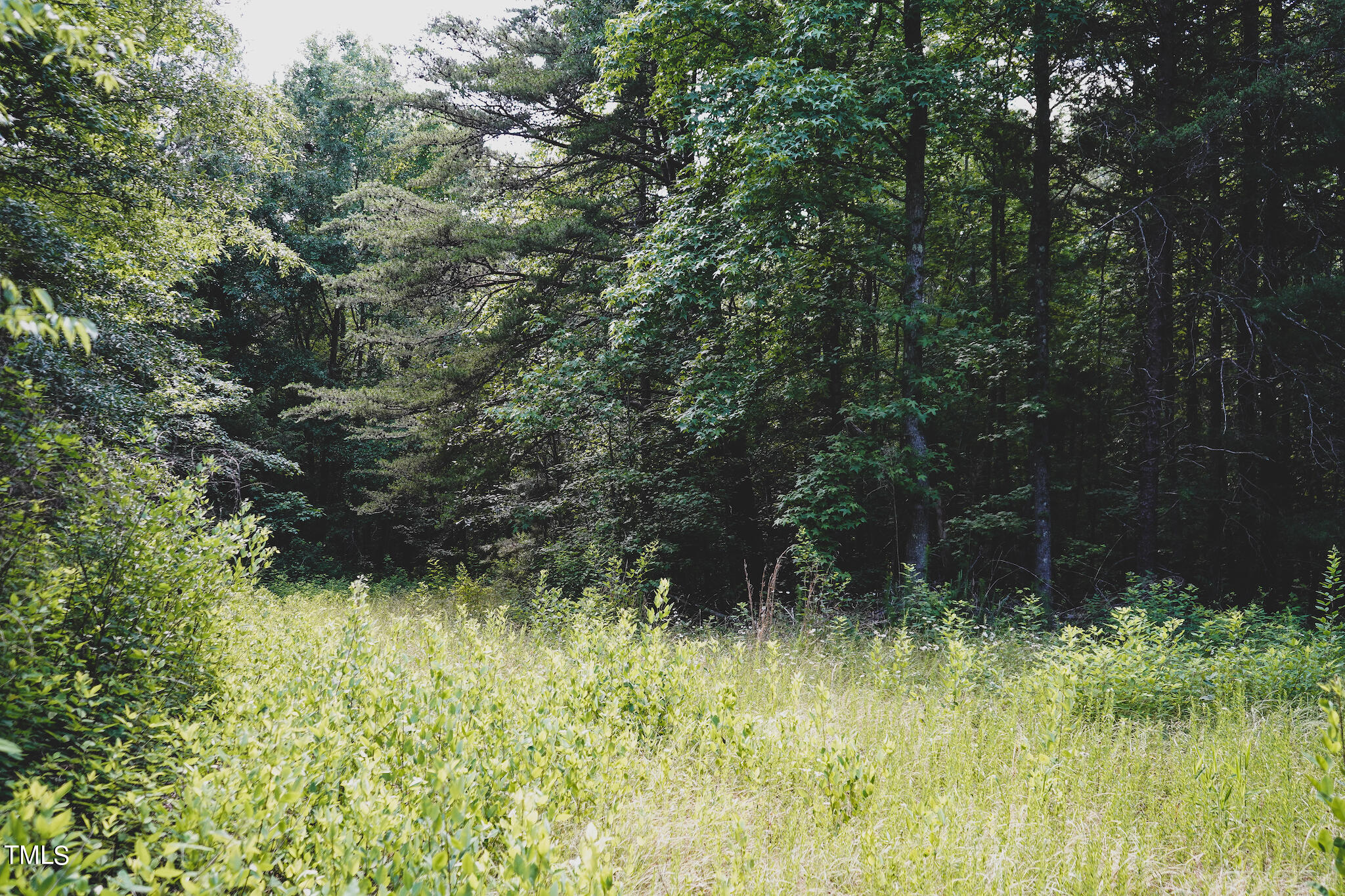 111-acres Hobgood Road Rougemont, NC 27572 - Photo 56 of 65 53