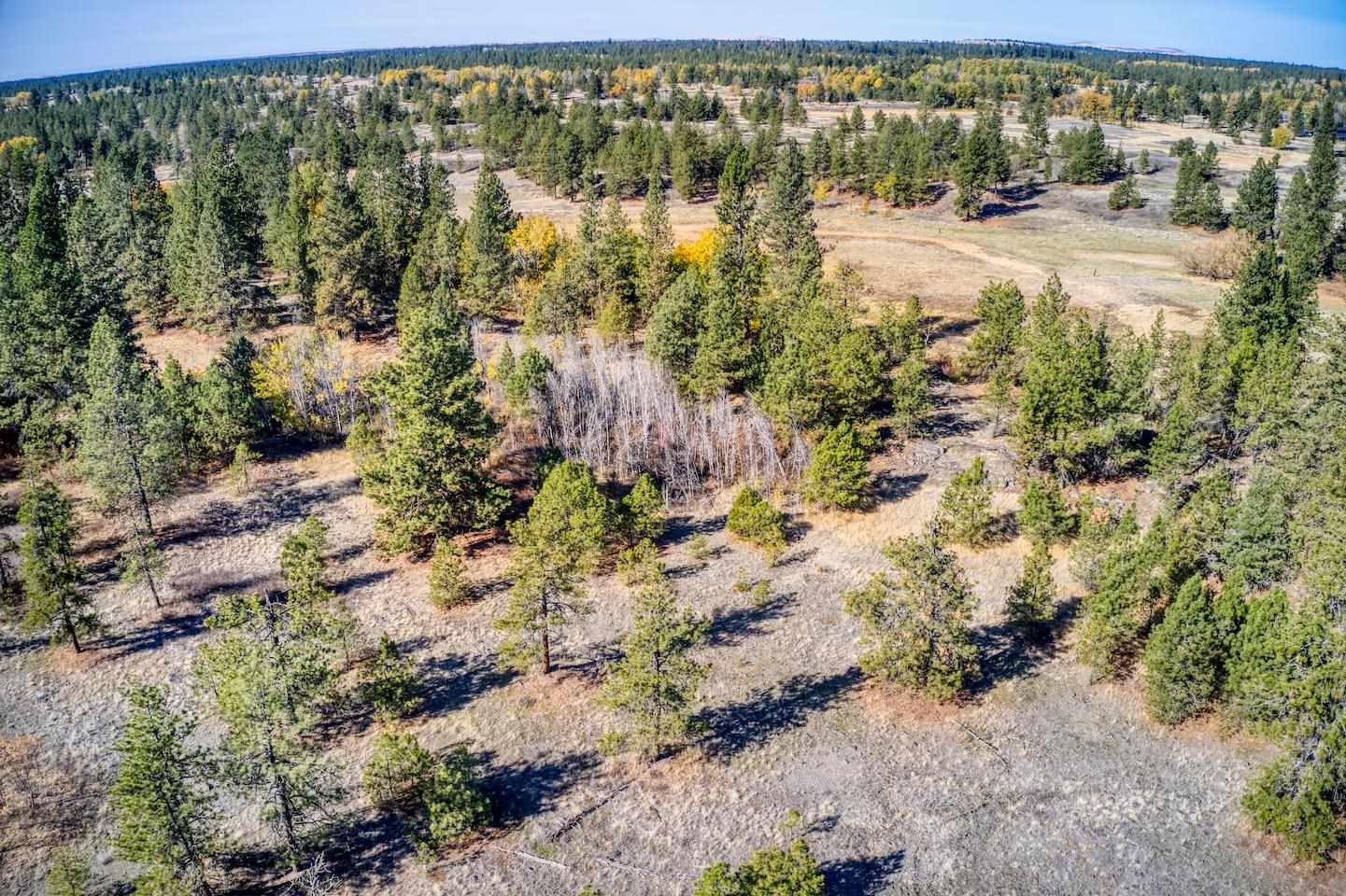 -na South Ritchey Road Cheney, WA 99004 - Photo 8 of 10