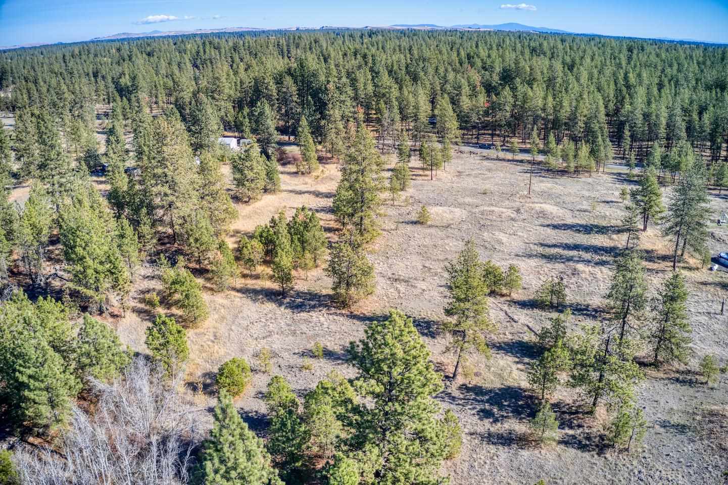 -na South Ritchey Road Cheney, WA 99004 - Photo 10 of 10