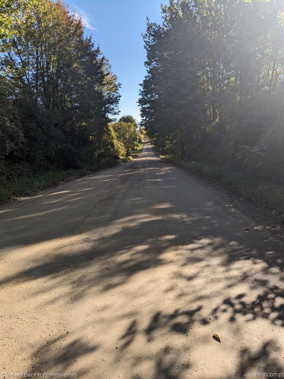 7168 Willis Road Brown City, MI 48416 - Photo 24 of 24