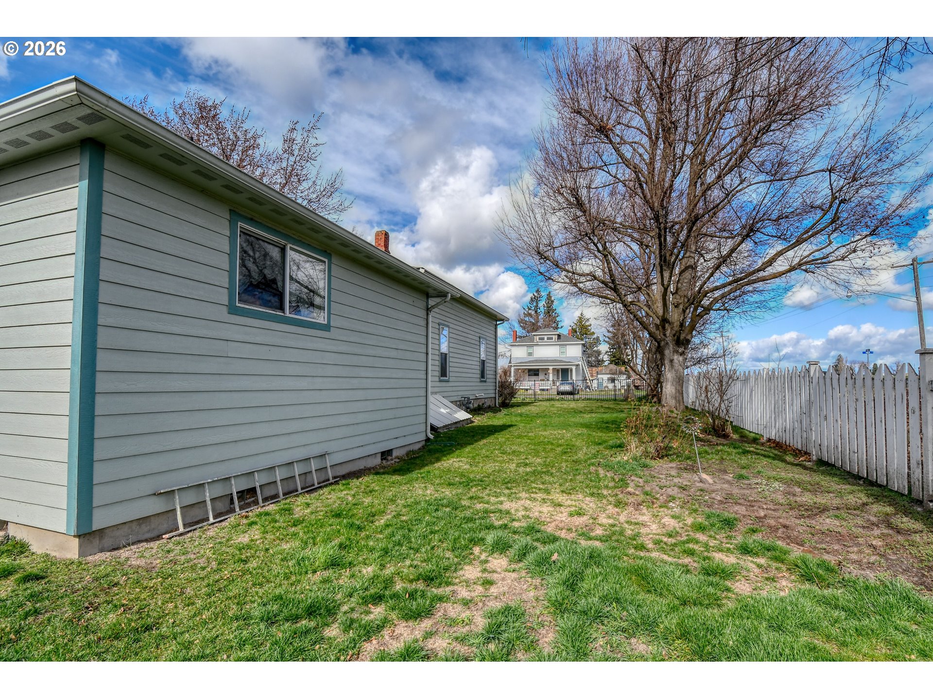 554 West High Street Athena, OR 97813 - Photo 38 of 46 a backyard of a house with plants and large tree