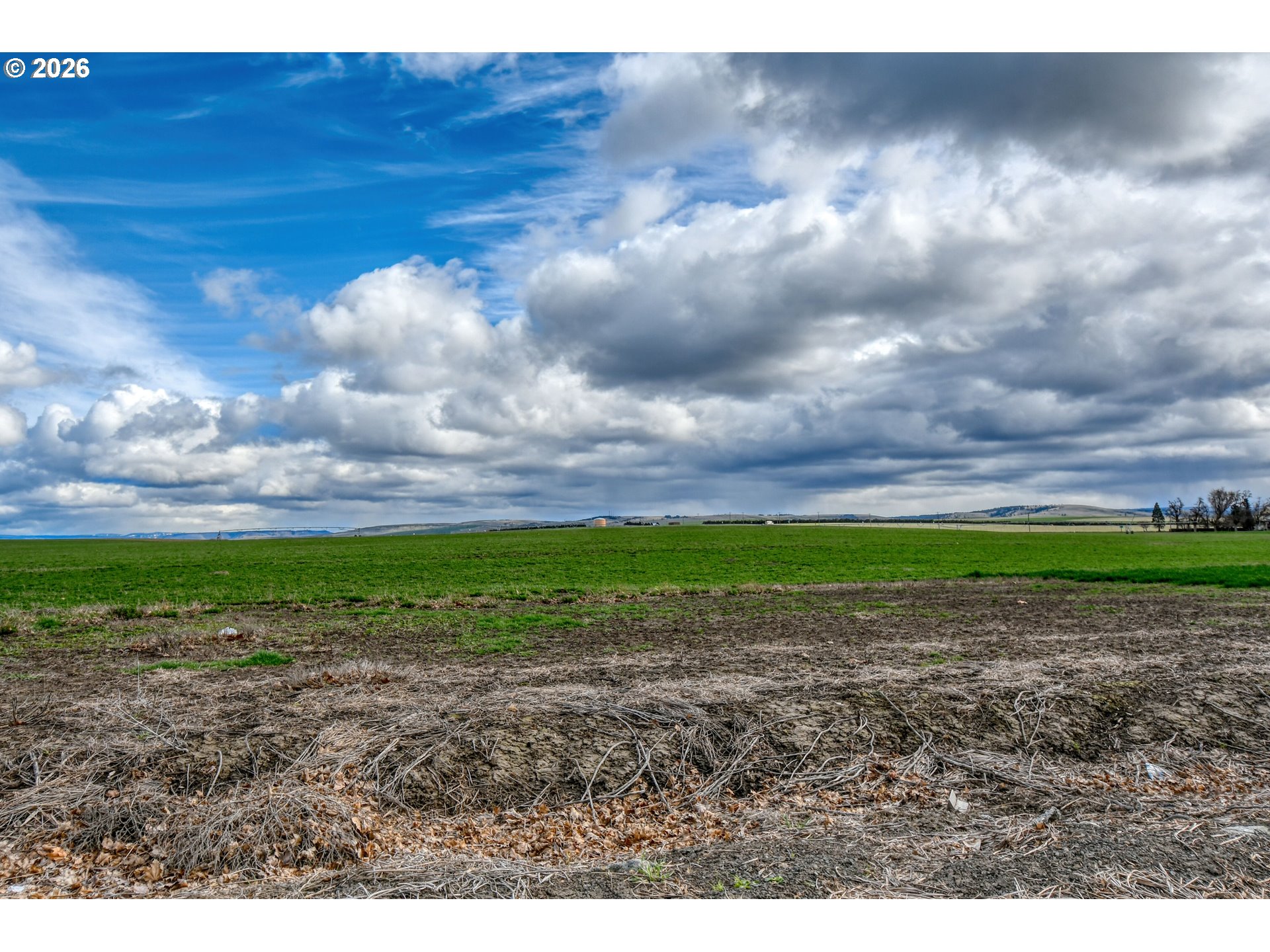 554 West High Street Athena, OR 97813 - Photo 46 of 46 a view of a yard with wooden fence