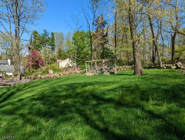 a view of a park with large trees