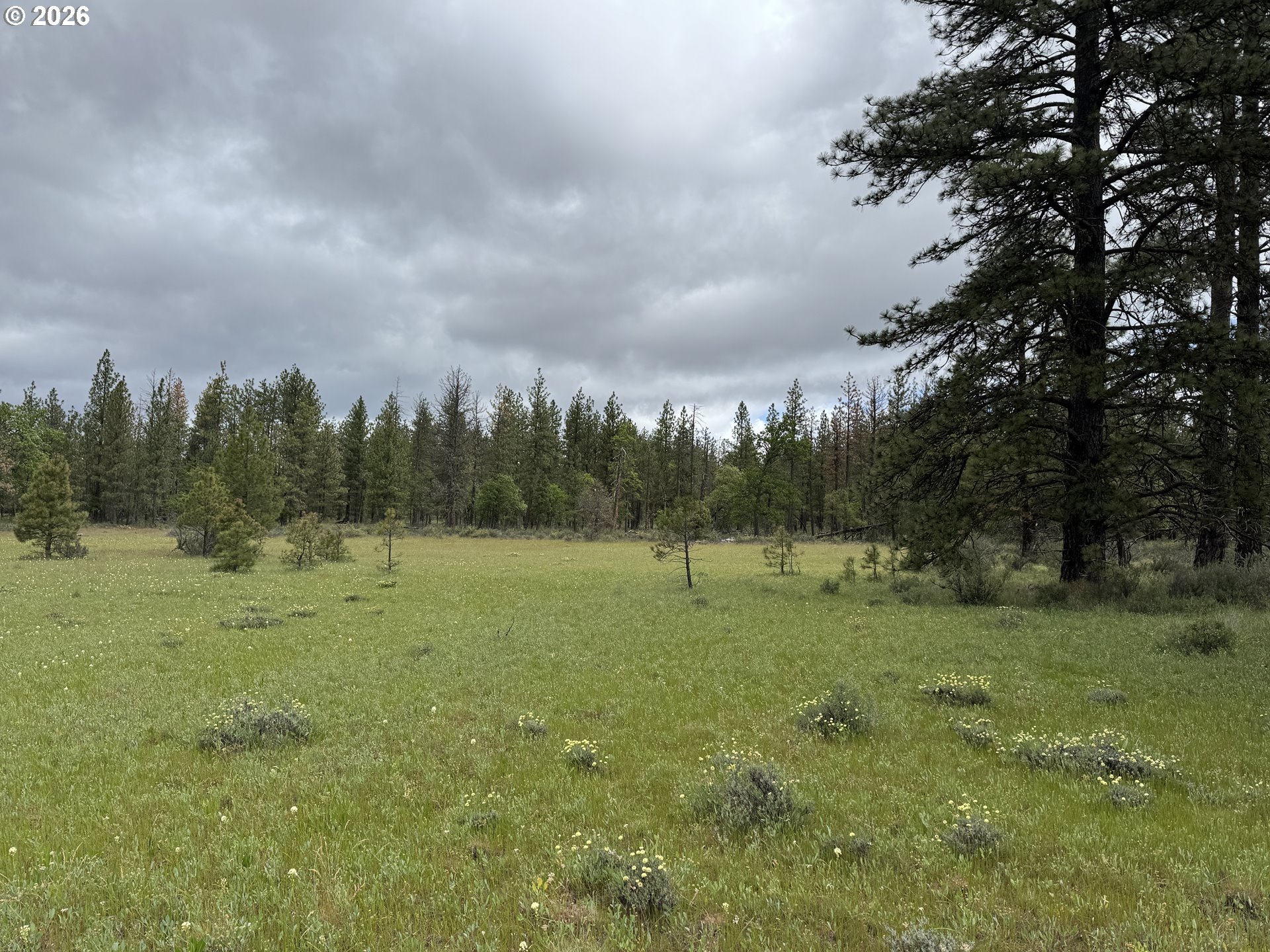 Old Mountain Road Goldendale, WA 98620 - Photo 31 of 41