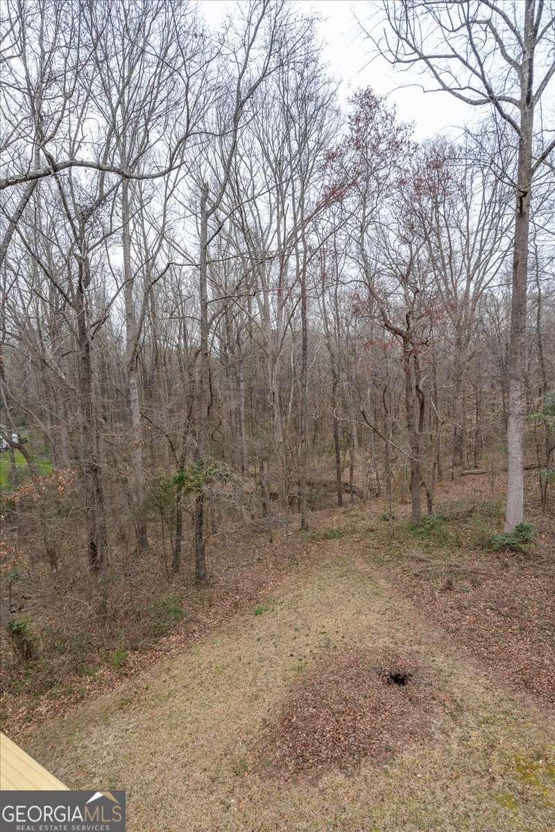 59 Busbin Lane Colbert, GA 30628 - Photo 22 of 29 a view of a dry yard with trees