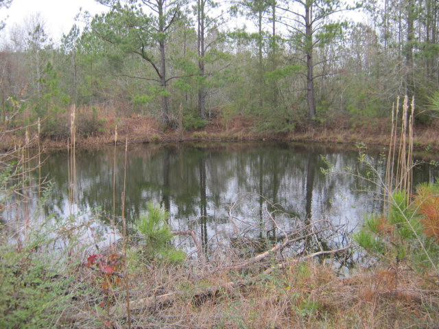 0 West Topisaw North Ruth, MS 39662 - Photo 1 of 1 Main View