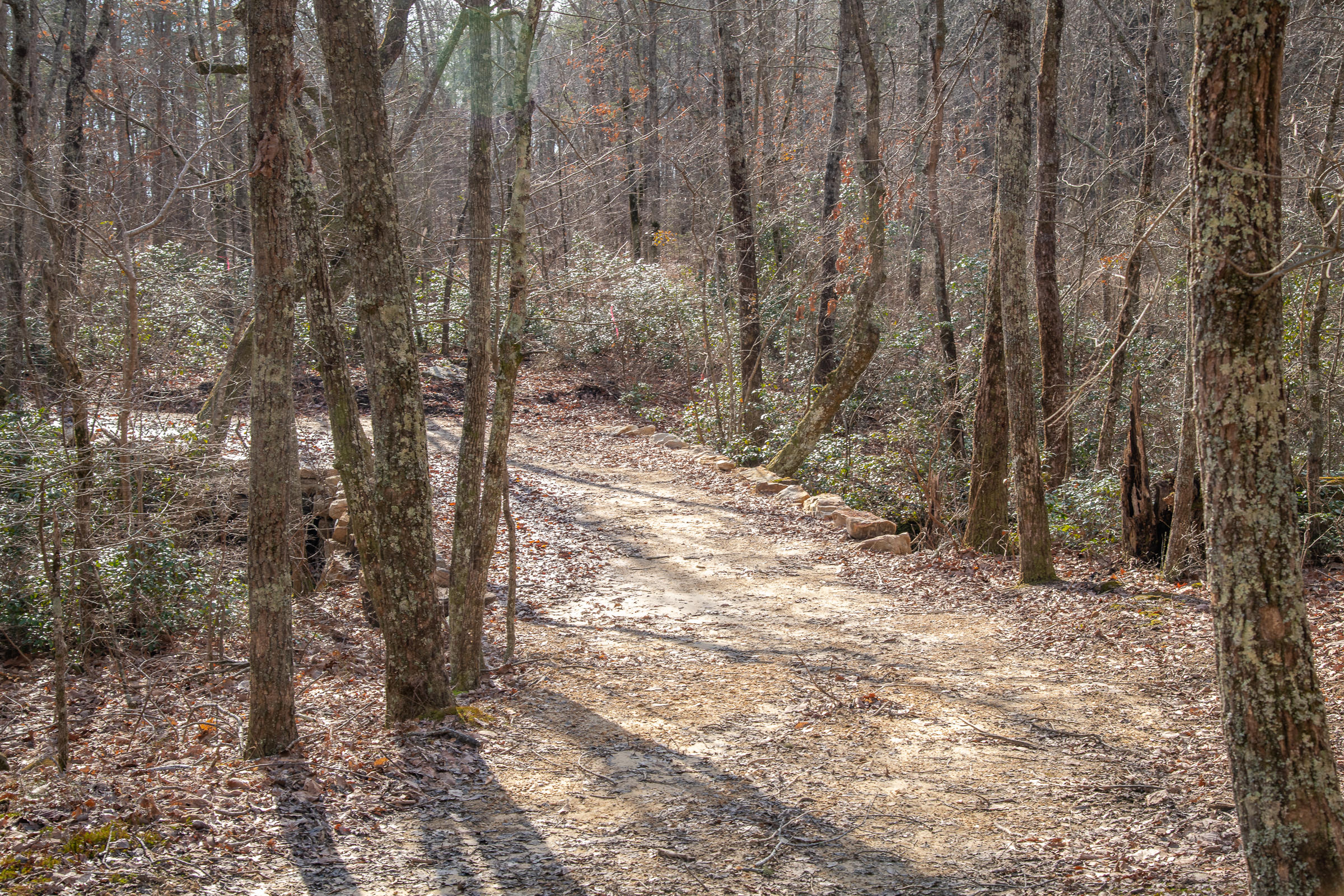 0 Hwy 157, Unit 9 Rising Fawn, GA 30738 - Photo 16 of 20 FBrightProperty-21