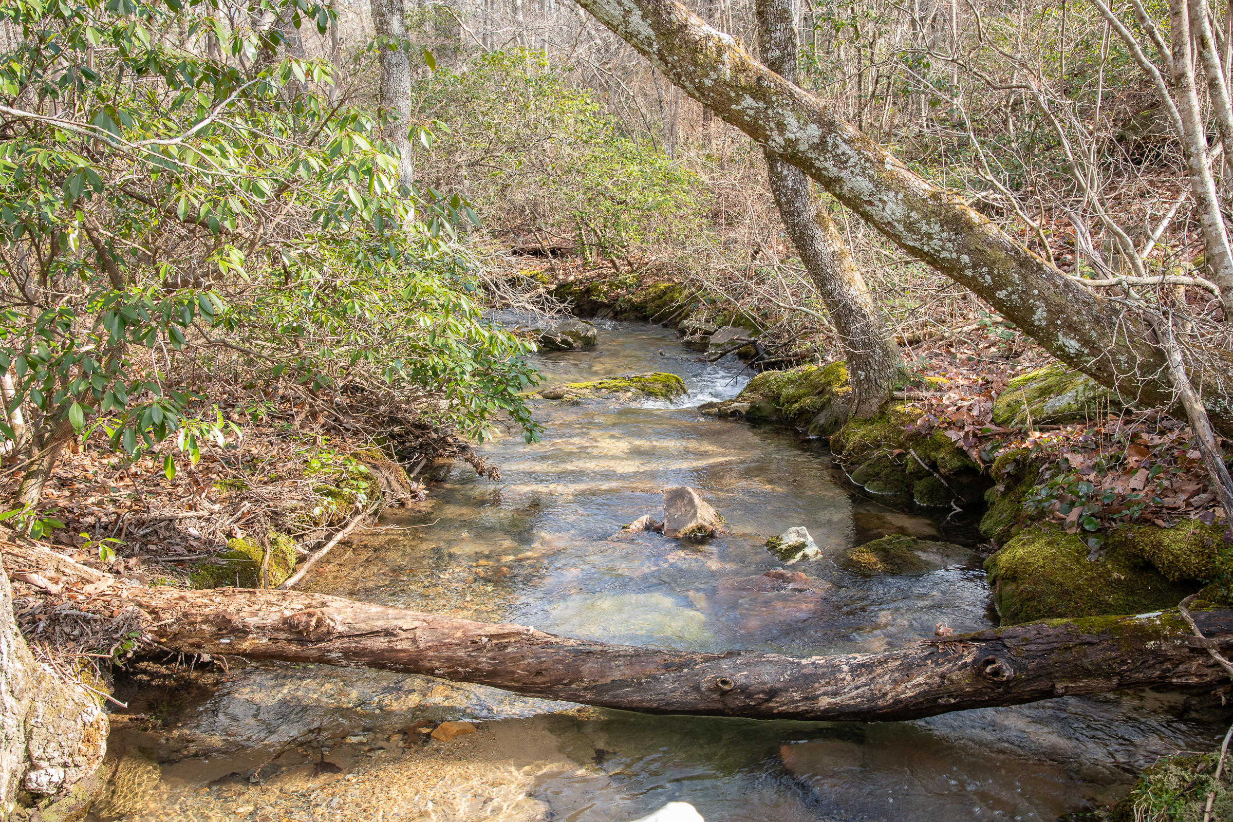 0 Hwy 157, Unit 9 Rising Fawn, GA 30738 - Photo 10 of 20 FBrightProperty-23