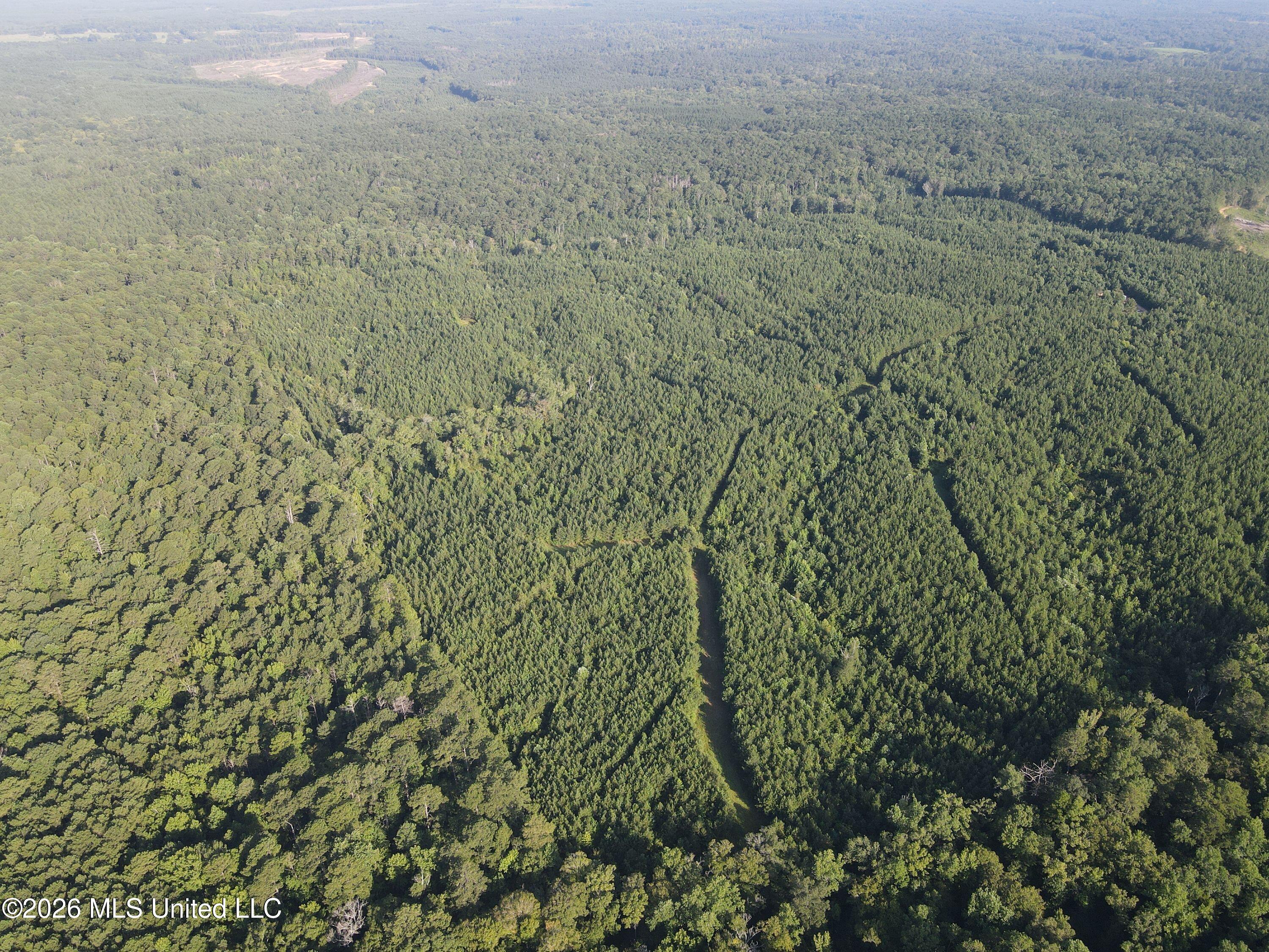 Cupit Rd Union Union Church, MS 39668 - Photo 19 of 61 DJI_0725