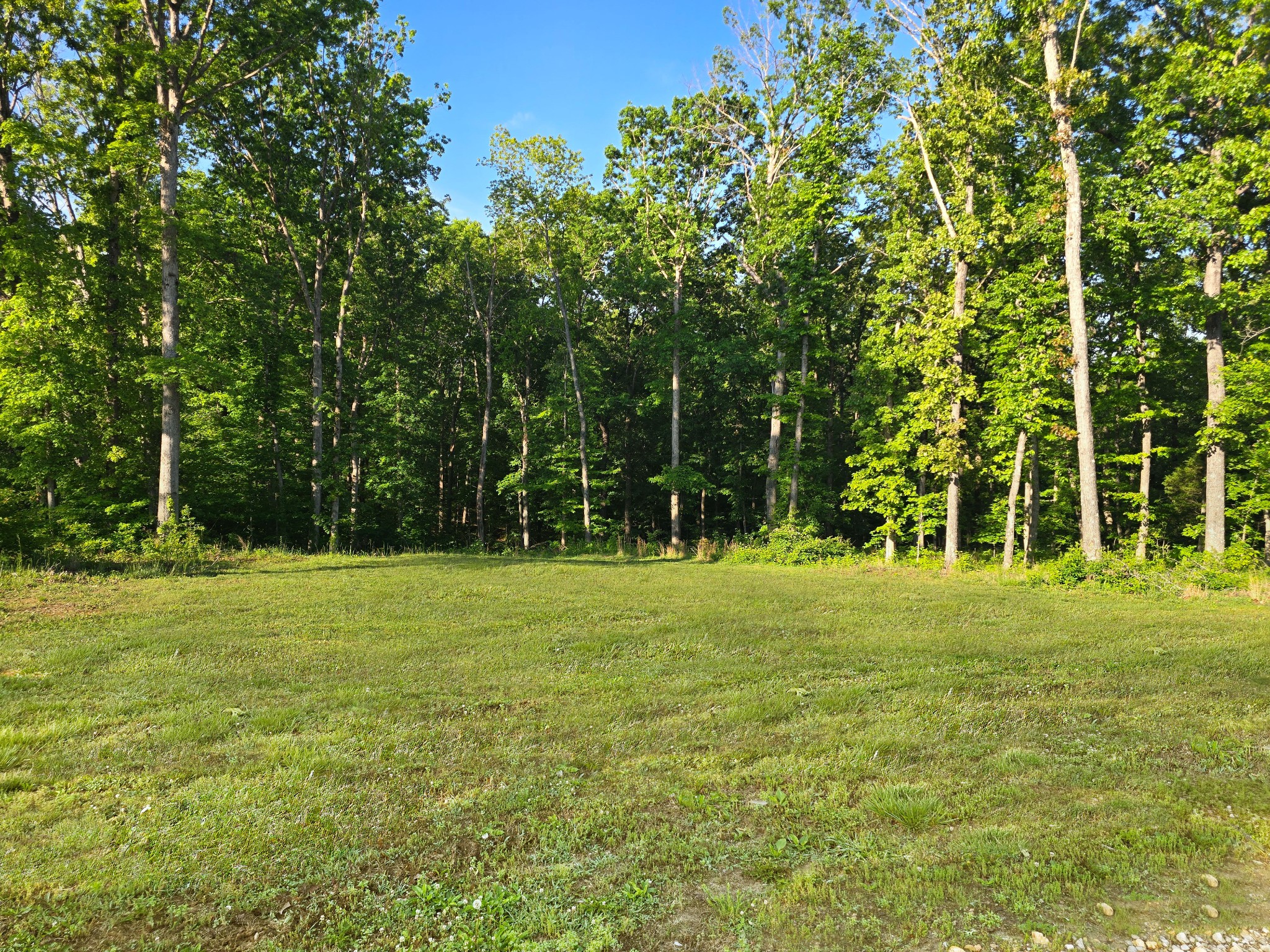 0 Akin Road Cunningham, TN 37052 - Photo 4 of 16 Gallery Image 4