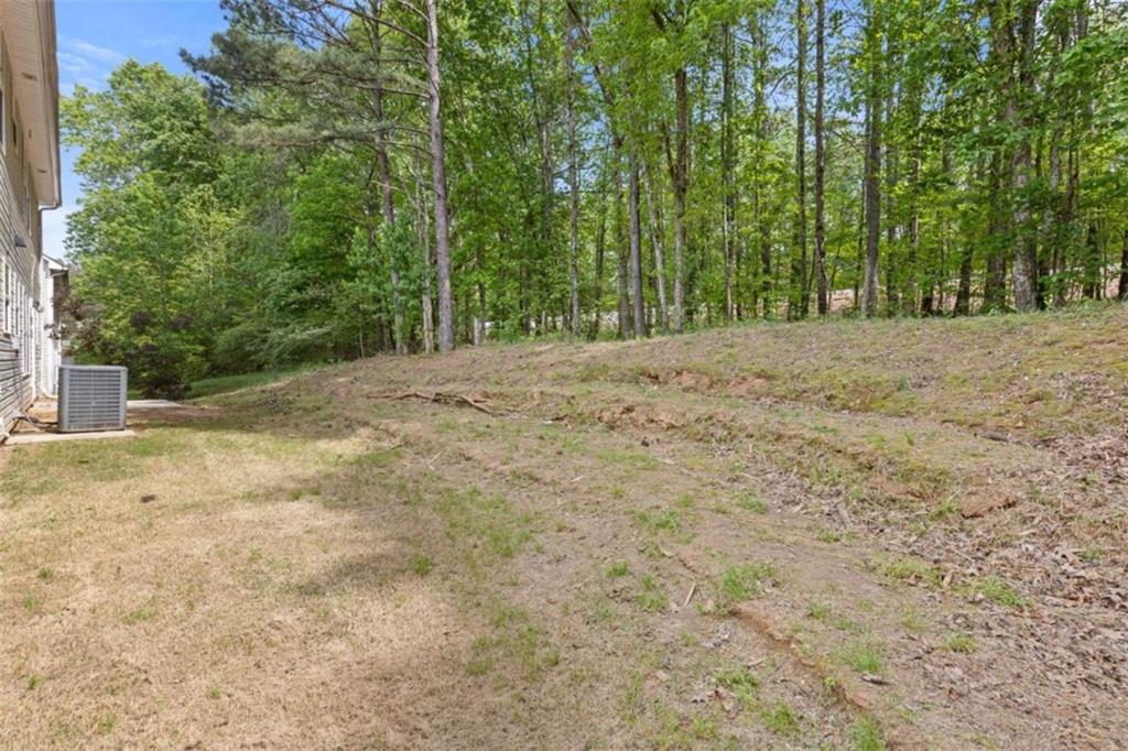 1450 Steam Engine Way Northeast Conyers, GA 30013 - Photo 26 of 33 a view of a yard with trees