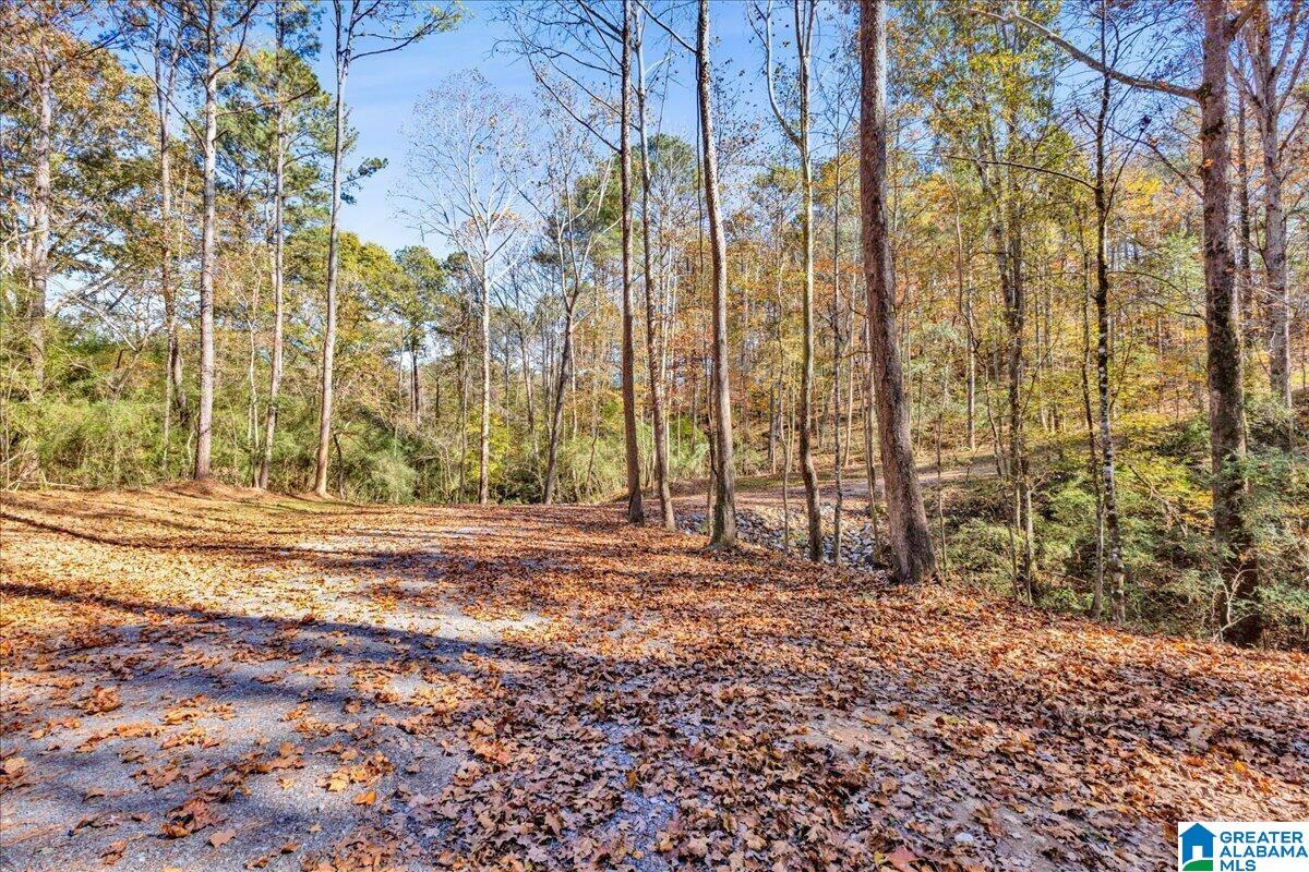 0 Hammock Road Trussville, AL 35173 - Photo 5 of 31