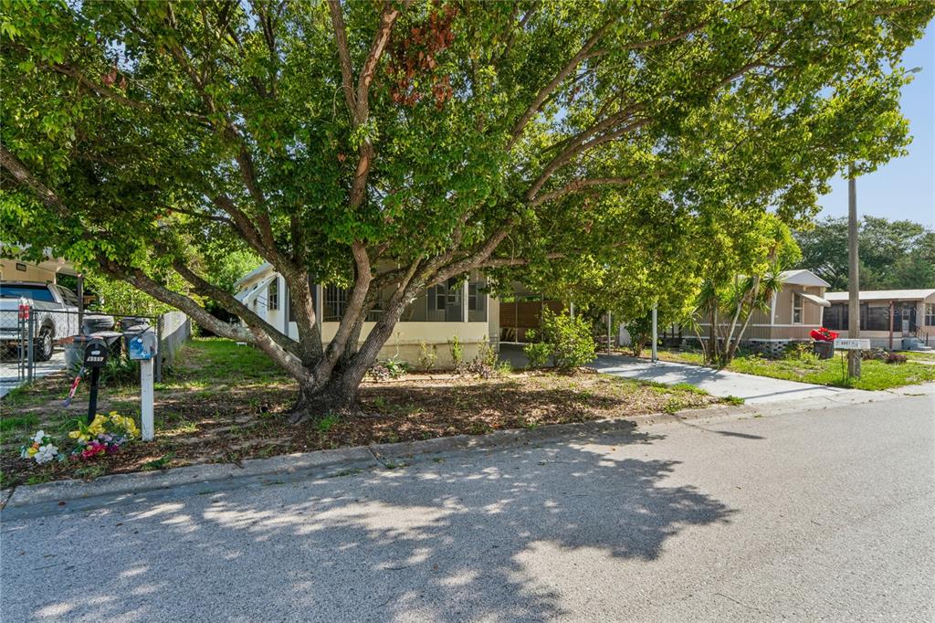 6601 Sutherland Avenue New Port Richey, FL 34653 - Photo 41 of 42