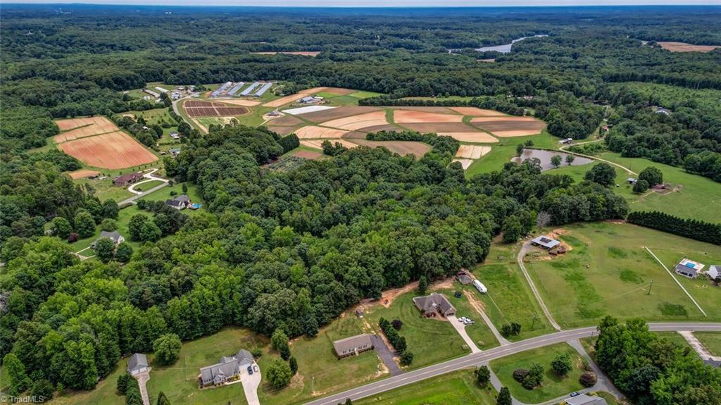 717 Sandy Cross Road Reidsville, NC 27320 - Photo 5 of 37