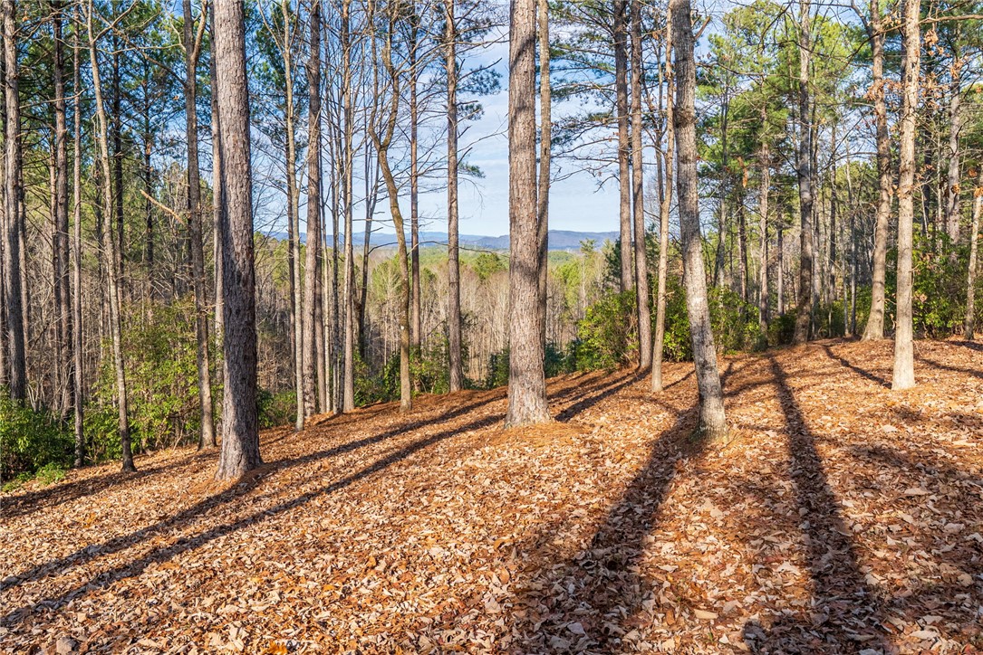 392 Cliffs S Parkway Salem, SC 29676 - Photo 11 of 27