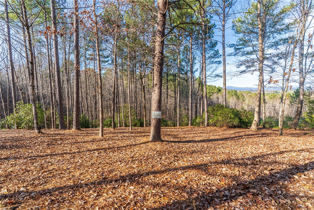 392 Cliffs S Parkway Salem, SC 29676 - Photo 12 of 27