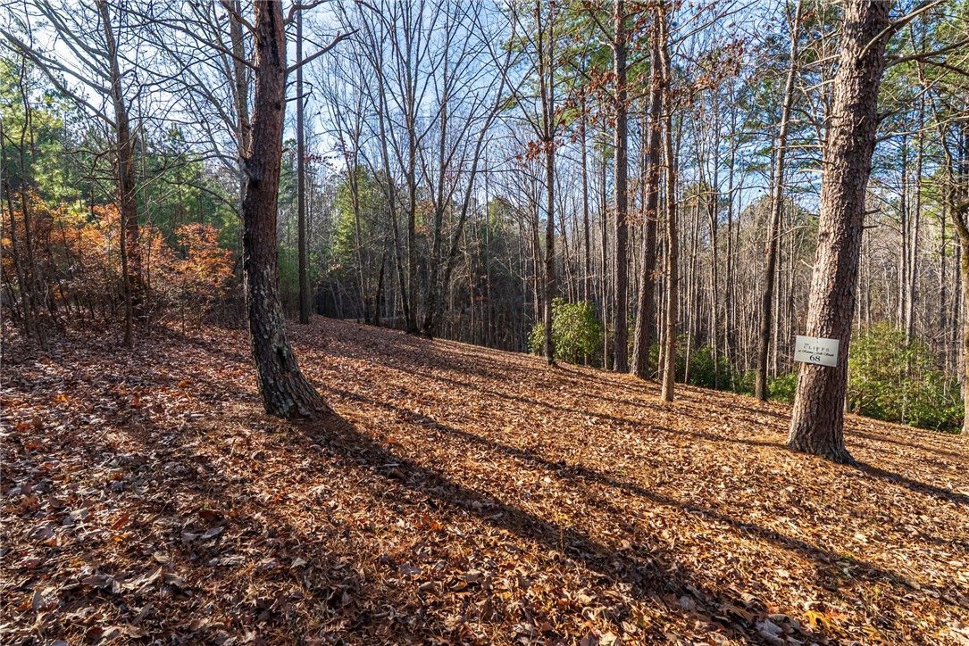 392 Cliffs S Parkway Salem, SC 29676 - Photo 13 of 27