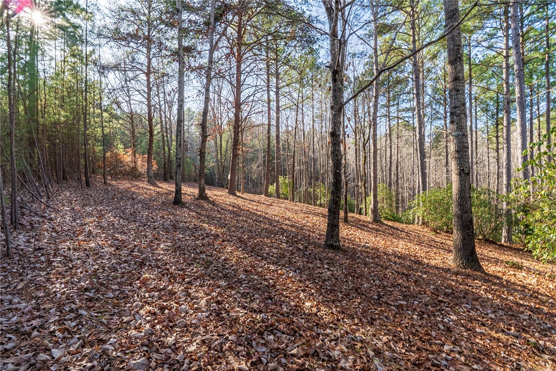 392 Cliffs S Parkway Salem, SC 29676 - Photo 14 of 27