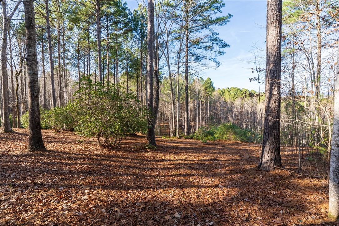 392 Cliffs S Parkway Salem, SC 29676 - Photo 15 of 27