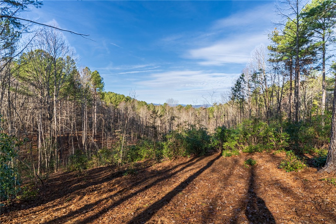 392 Cliffs S Parkway Salem, SC 29676 - Photo 16 of 27