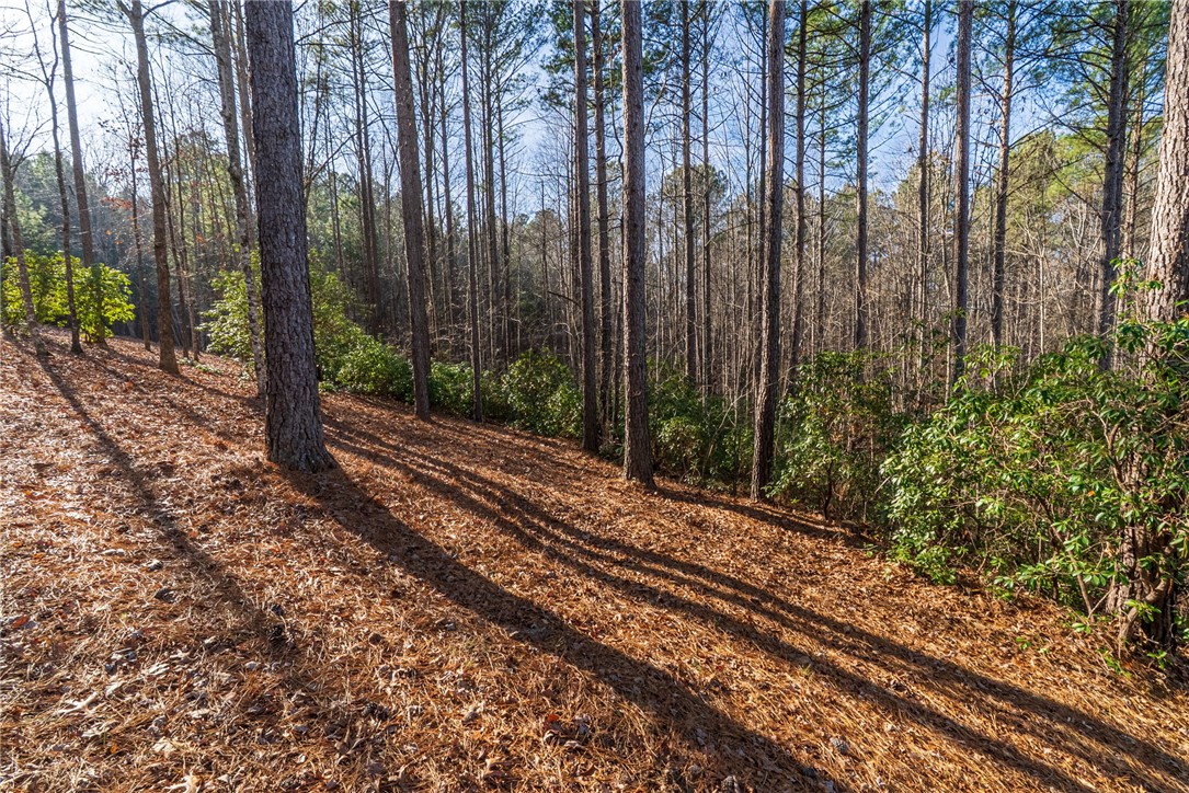 392 Cliffs S Parkway Salem, SC 29676 - Photo 17 of 27