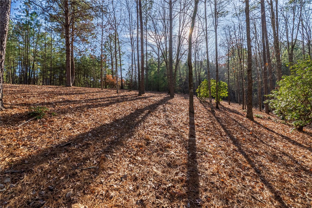 392 Cliffs S Parkway Salem, SC 29676 - Photo 18 of 27